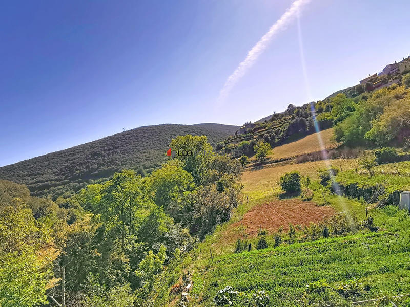 Maison - 350 m² - 12 pièces