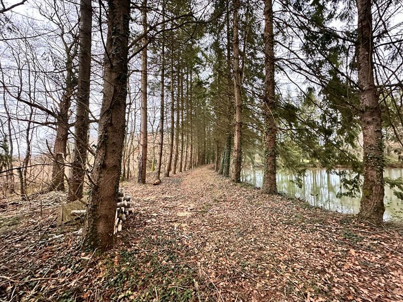 Terrain de loisirs - 23 143 m²