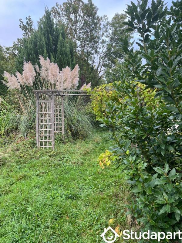 Chambre - 55 m² - 1 pièce