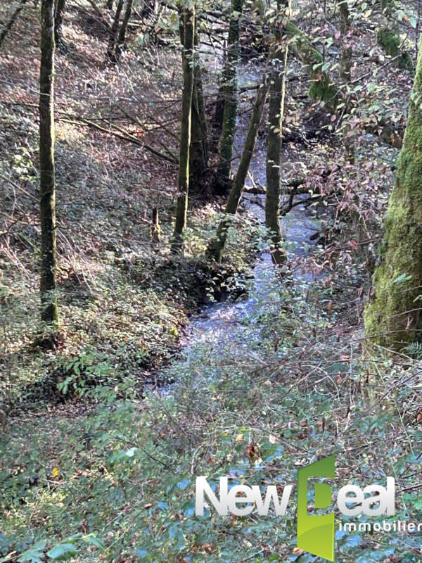 Corps de ferme - 72 m² - 4 pièces