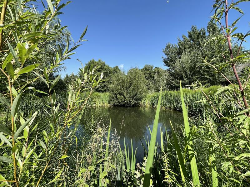 Manoir - 149 m² - 6 pièces