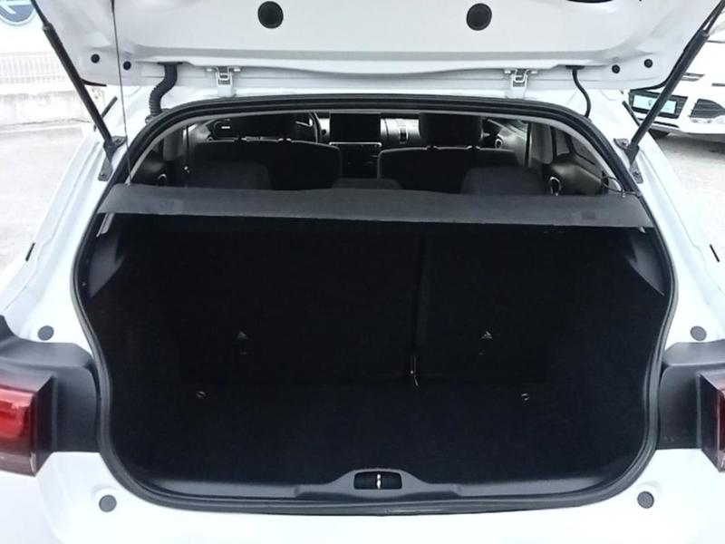 Citroën C4 Cactus PureTech 110 s&amp;S Bvm Shine