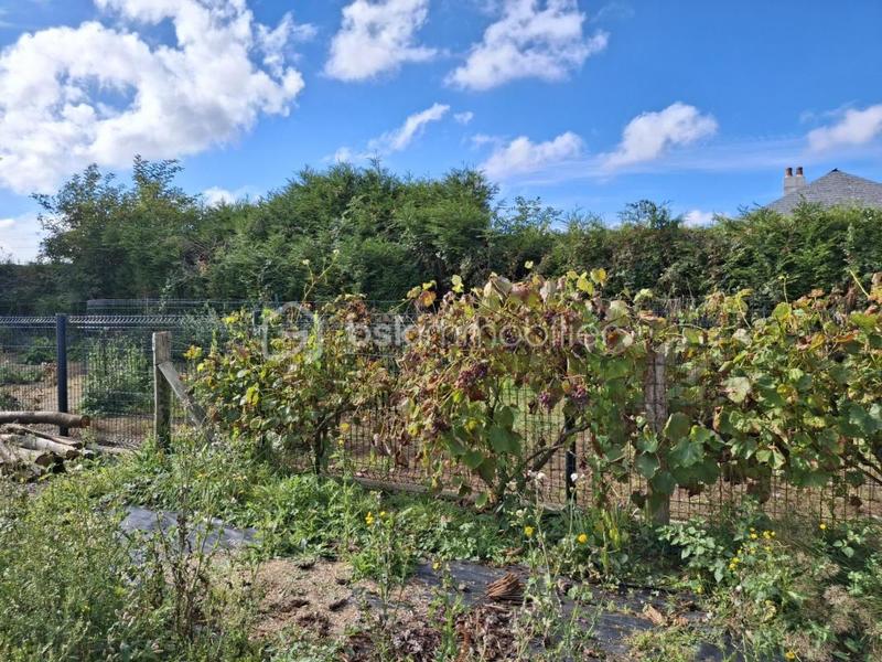 Pavillon - 100 m² - 5 pièces