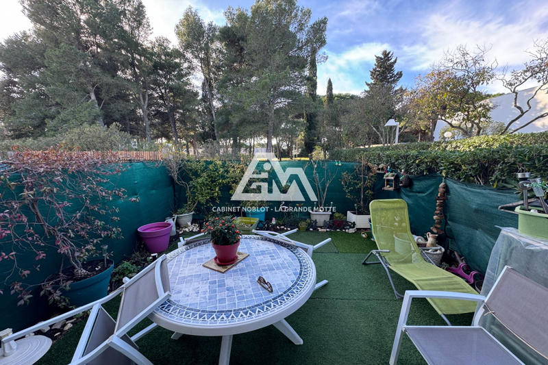 Viager - Appartement - 38 m² - 2 pièces