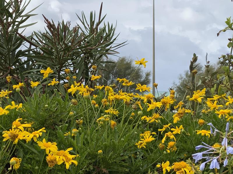 Maison - 109 m² - 4 pièces