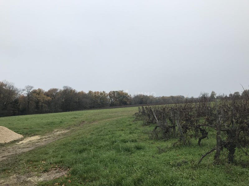 Maison - 600 m² - 25 pièces