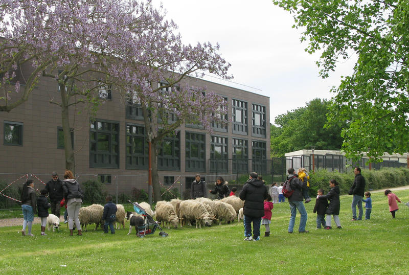 Duplex - 110 m² - 5 pièces