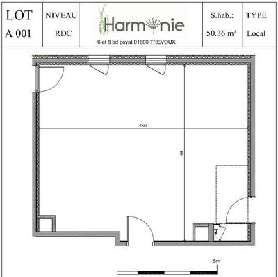 Appartement - 50 m² - 1 pièce