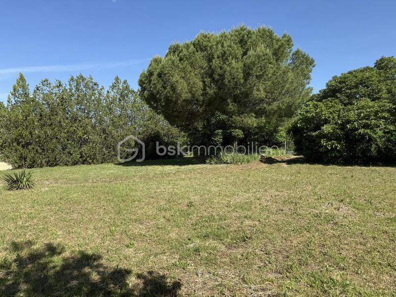 Terrain - 537 m²