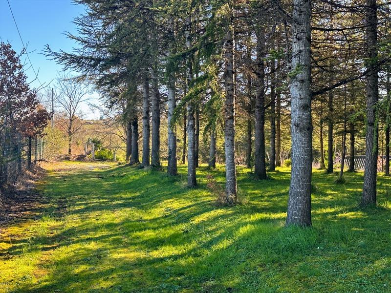 Local d'activité / Entrepôt - 240 m² - 1 pièce