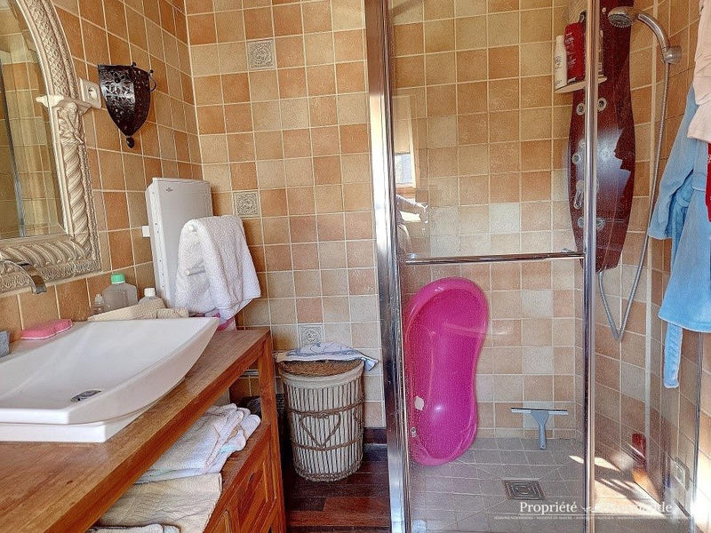 Maison ancienne - 347 m² - 12 pièces