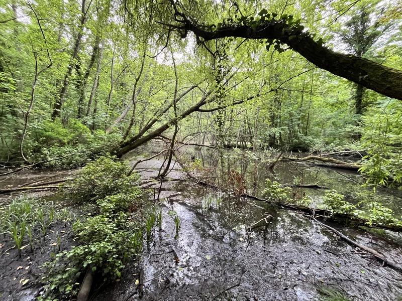 Terrain - 26 235 m²