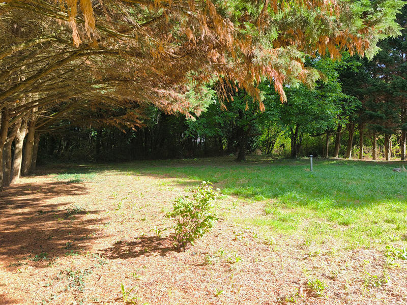 Maison - 153 m² - 5 pièces