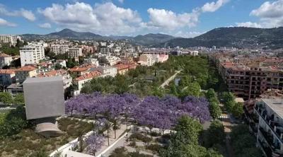 Appartement - 40 m² - 3 pièces