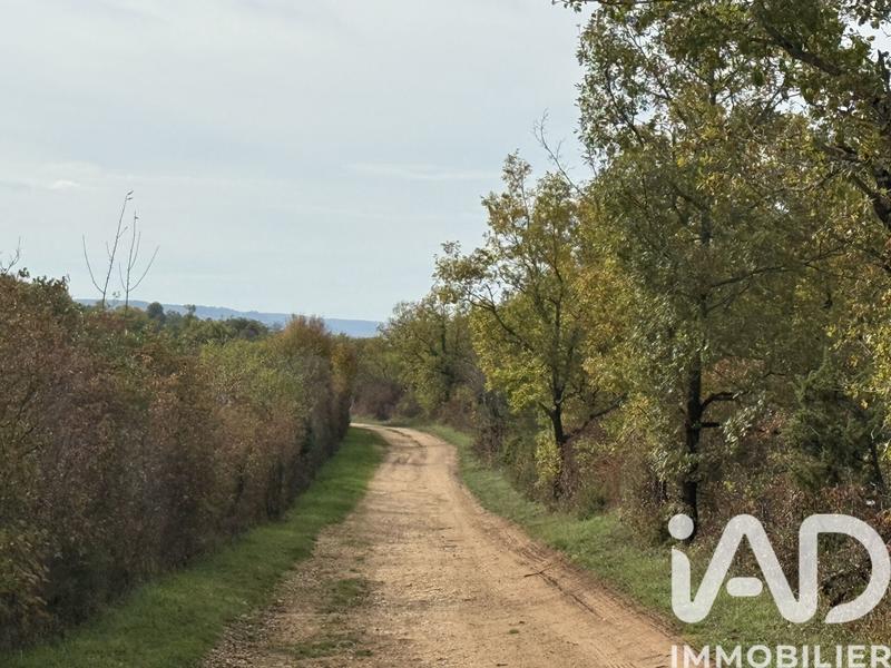 Terrain - 991 703 m²