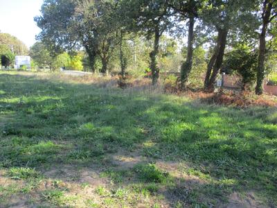 Terrain - 380 m²