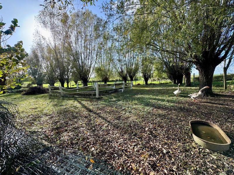 Maison - 172 m² - 5 pièces