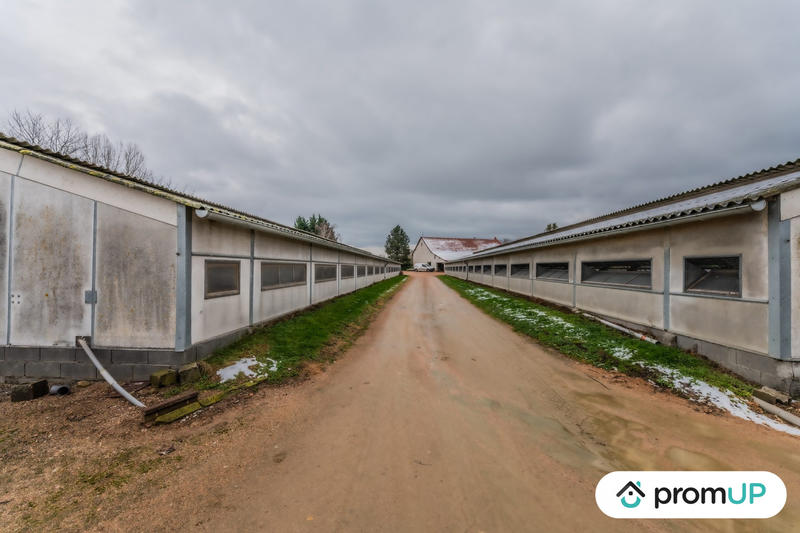 Maison ancienne - 225 m² - 8 pièces