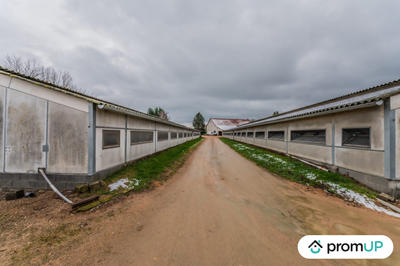 Maison ancienne - 225 m² - 8 pièces