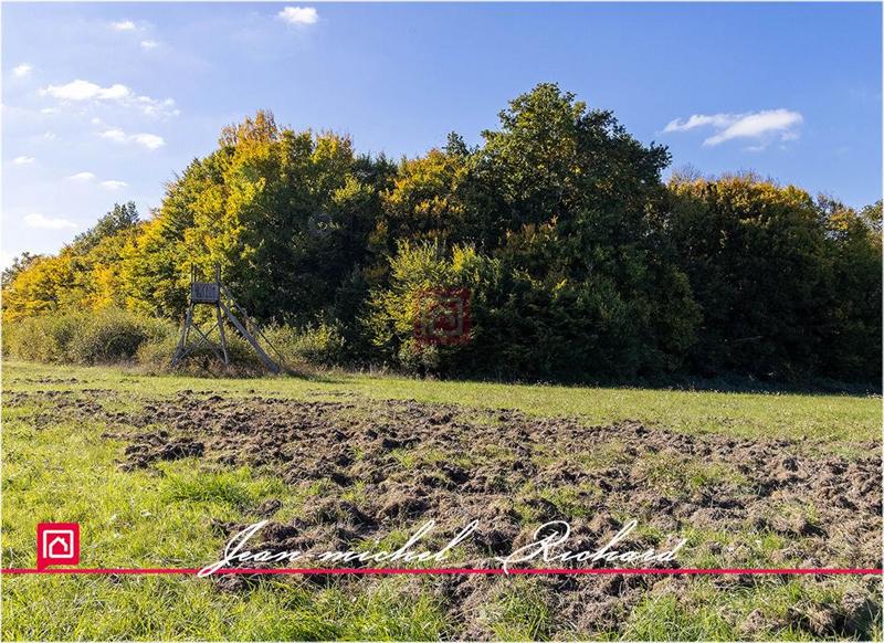 Propriété - 400 m² - 8 pièces