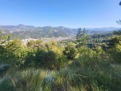 Terrain - 16 415 m²