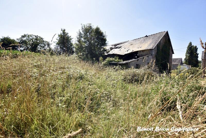 Longère - 110 m² - 1 pièce