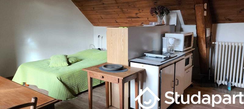 Appartement - 60 m² - 1 pièce