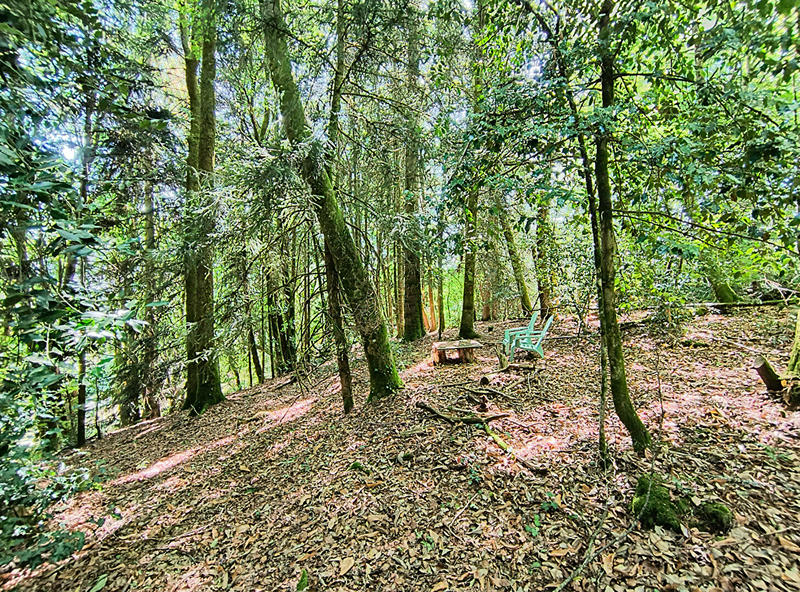 Maison - 231 m² - 7 pièces