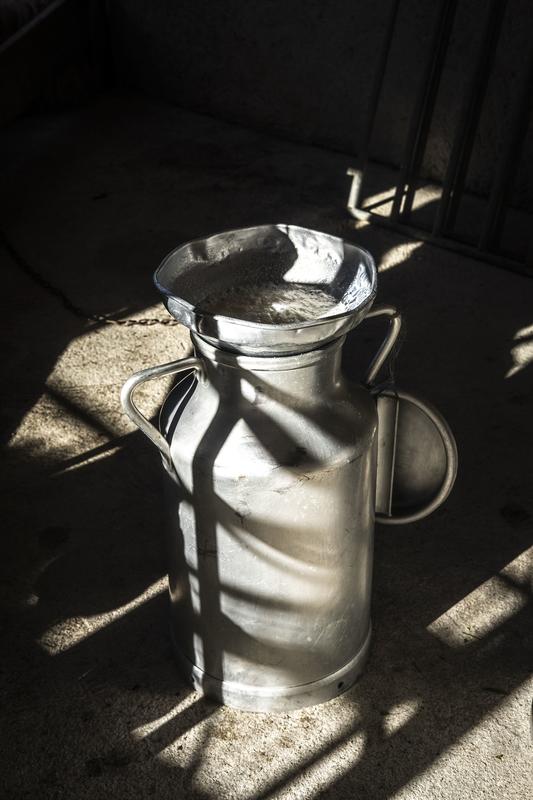 Exposition : Photographies d'Adrien Basse