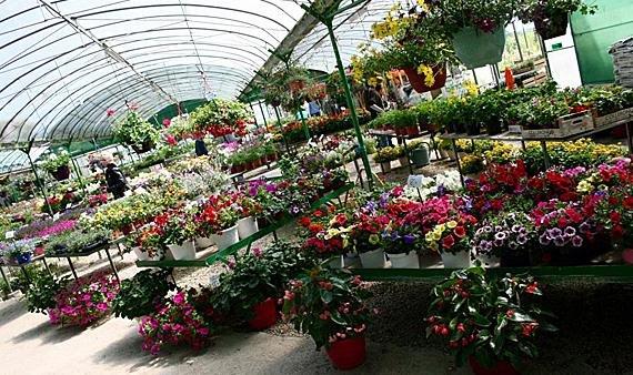 Les Serres de la Droude