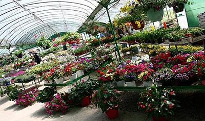 Les Serres de la Droude