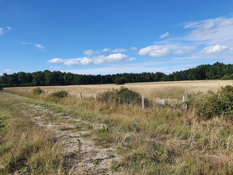 Terrain constructible - 1 000 m²