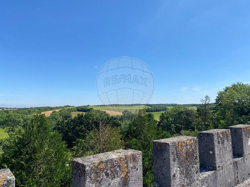 Château - 10 pièces