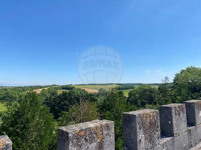 Château - 10 pièces