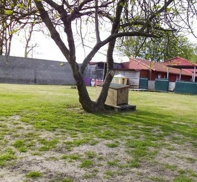 Terrain constructible - 712 m²