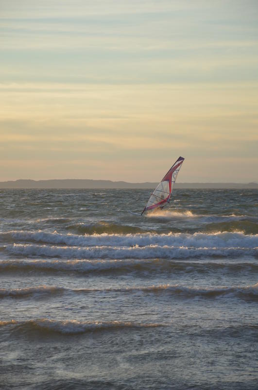Randonnée commentée  : Lido du Jaï, nature sauvage entre deux étangs