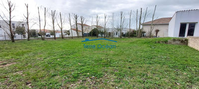 Terrain - 584 m²