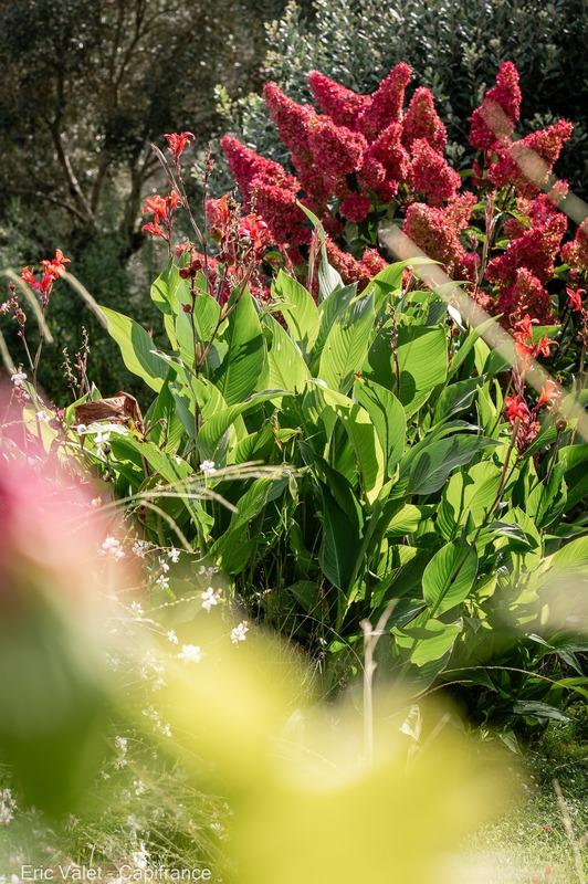 Villa - 230 m² - 6 pièces