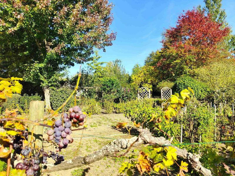 Maison - 250 m² - 7 pièces