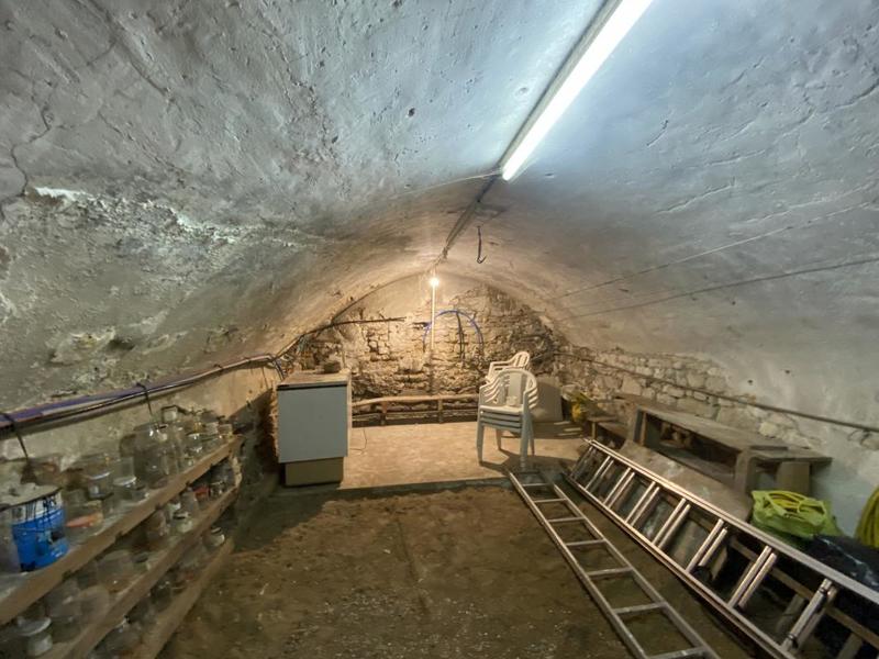 Maison ancienne - 408 m² - 16 pièces