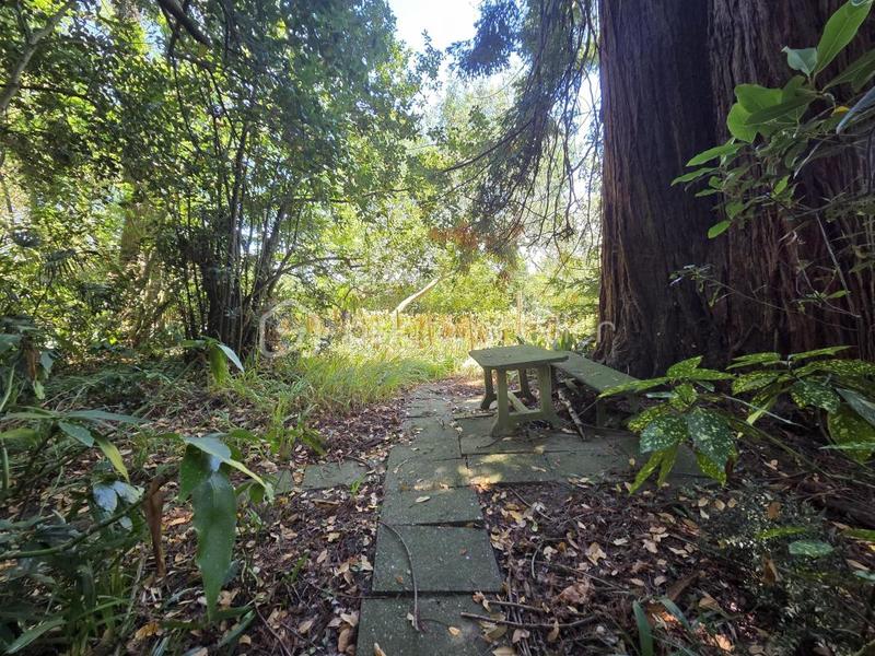 Propriété - 500 m² - 21 pièces