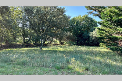 Terrain - 864 m²
