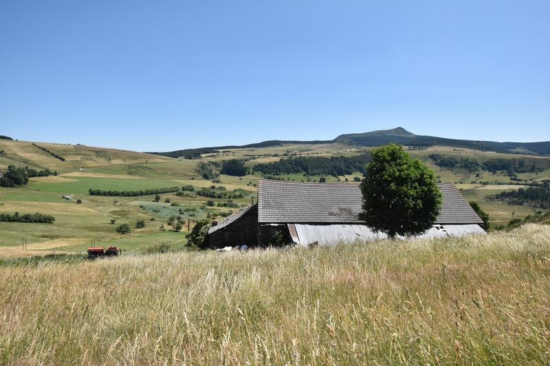 Maison en pierre - 350 m² - 3 pièces