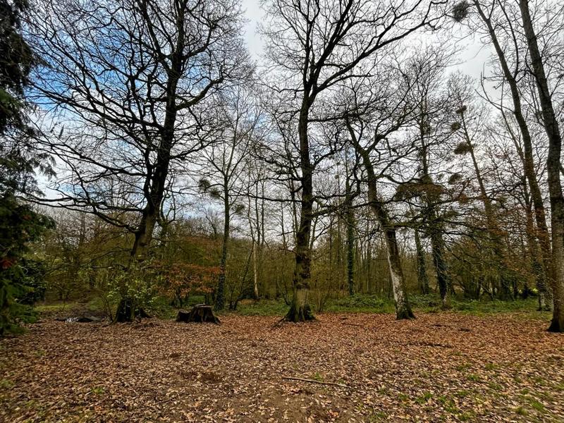 Propriété - 220 m² - 10 pièces