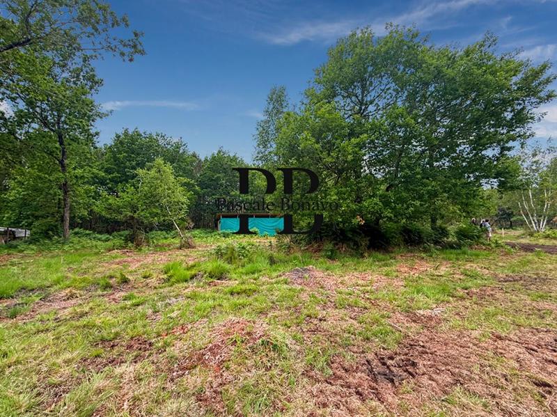 Terrain de loisirs - 2 327 m²