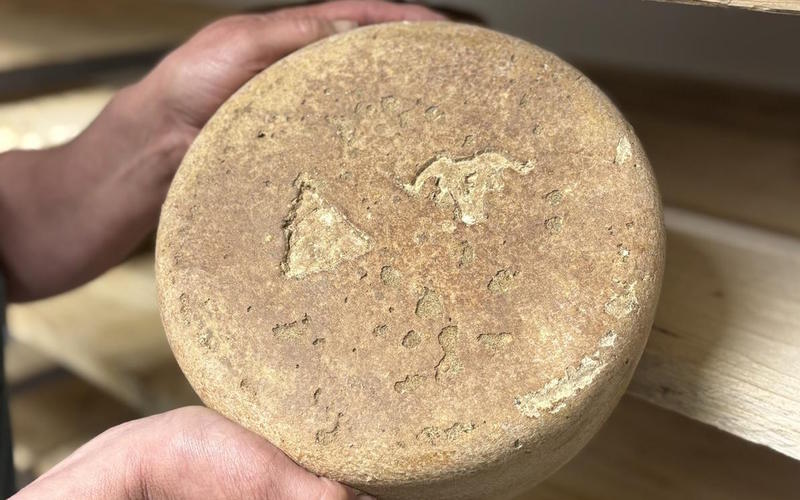 Randonnée en quadricycle électrique à Iraty, rencontre avec une bergère et pause gourmande en estive