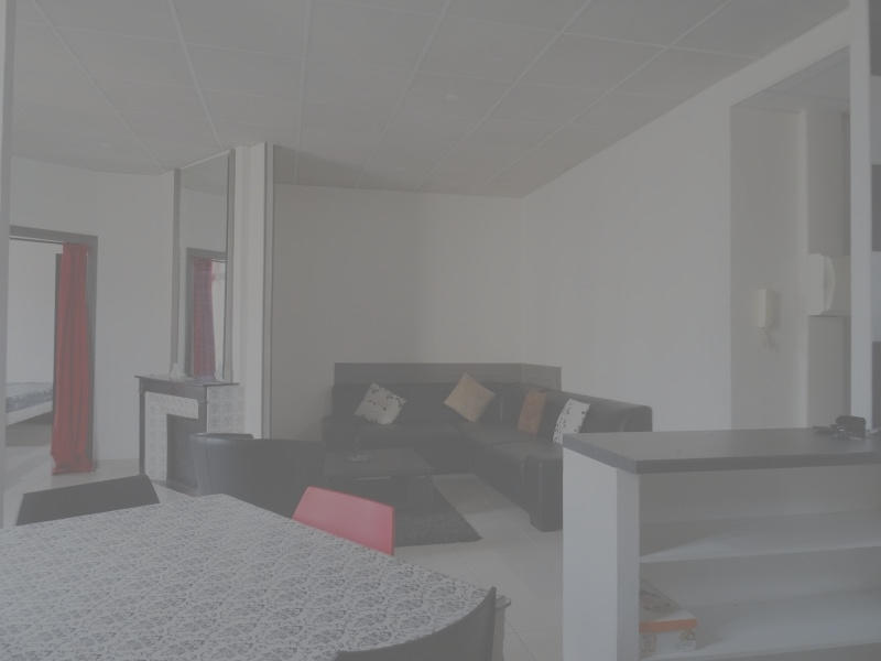 Appartement - 53 m² - 2 pièces