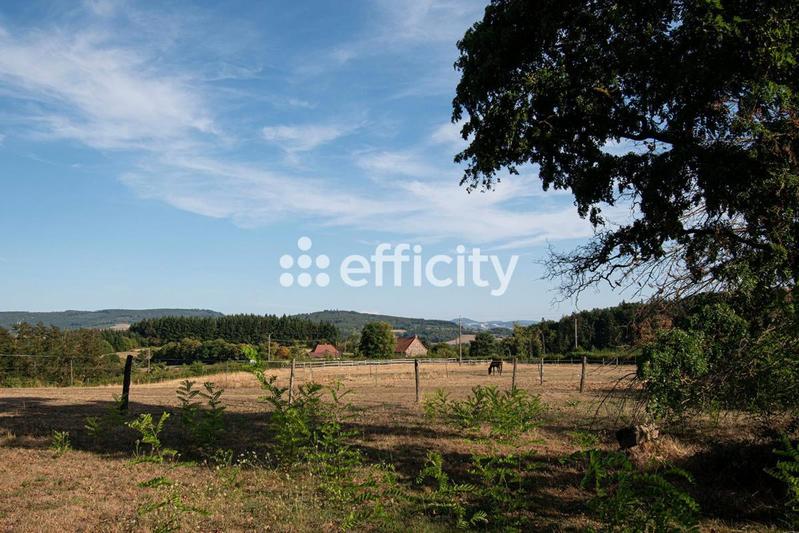 Maison - 480 m² - 13 pièces