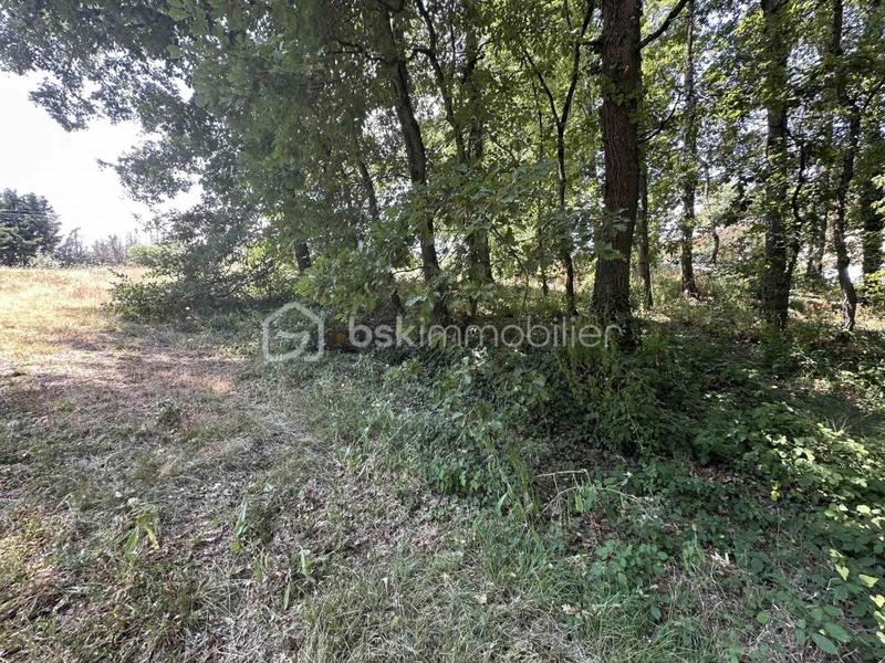 Terrain constructible - 2 135 m²