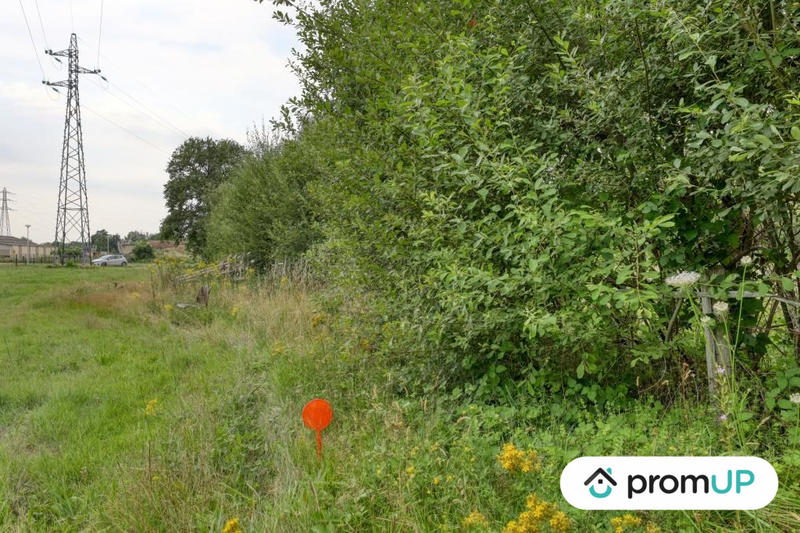 Terrain de loisirs - 982 m²